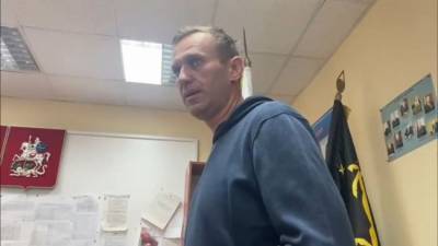 Суд приговорил Навального к 30 суткам ареста - eadaily.com - Московская обл. - Химки