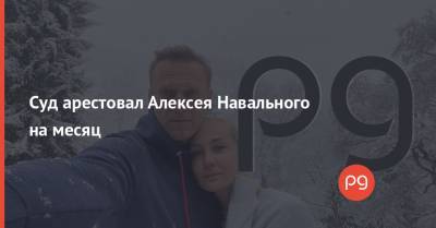 Алексей Навальный - Суд арестовал Алексея Навального на месяц - thepage.ua - Россия - Химки