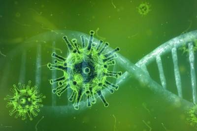 Германия: Более 20 инфицированных во Фленсбурге, вероятно, заразились мутировавшим коронавирусом - mknews.de - Англия - Германия