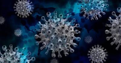 Тревожный сигнал. Калифорнийская мутация коронавируса изменила важную часть SARS-CoV-2 - focus.ua - Сша - штат Калифорния - Сан-Хосе