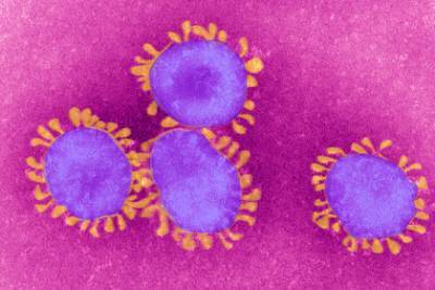 Подтвержден долгий иммунитет против коронавируса после выздоровления - lenta.ru - Сша - Швейцария