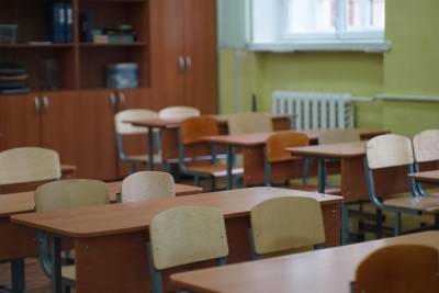 Школа в Петергофе отделалась предупреждением из-за 43 случаев коронавируса - abnews.ru - Санкт-Петербург