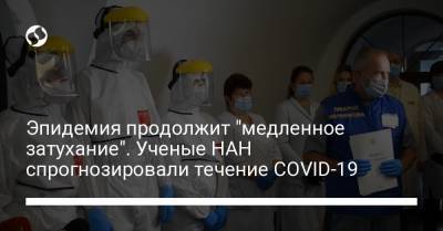 Эпидемия продолжит "медленное затухание". Ученые НАН спрогнозировали течение COVID-19 - liga.net - Украина