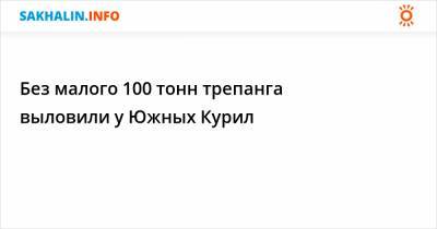 Без малого 100 тонн трепанга выловили у Южных Курил - sakhalin.info - Сахалинская обл.