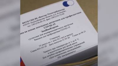 Вакцина от коронавируса "ЭпиВакКорона" оказалась эффективна на 100% - newinform.com - Россия