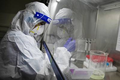 Анна Попова - В России создали тесты для выявления британского штамма коронавируса - tvc.ru - Россия - Англия