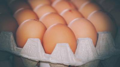 Более 302 тысяч французских яиц не пустили в Ленобласть - piter.tv - Ленобласть обл. - Франция - Финляндия
