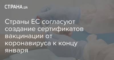 Страны ЕС согласуют создание сертификатов вакцинации от коронавируса к концу января - strana.ua - Евросоюз