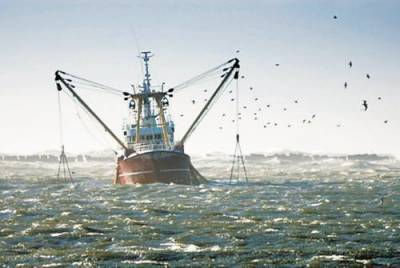 В ближайшие годы произойдет рост добычи морских рыб Каспия - argumenti.ru