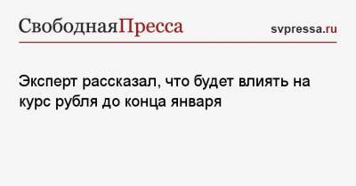 Владимир Григорьев - Эксперт рассказал, что будет влиять на курс рубля до конца января - svpressa.ru