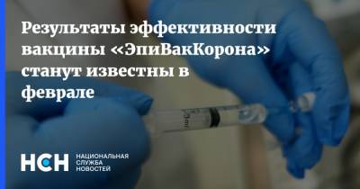 Ринат Максютов - Результаты эффективности вакцины «ЭпиВакКорона» станут известны в феврале - nsn.fm