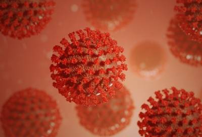 Виктор Зуев - Джордж Мейсон Анч - Вирусолог оценил опасность африканского штамма коронавируса - online47.ru