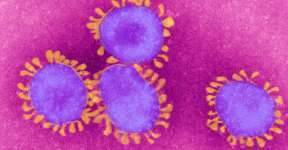 Подтвержден долгий иммунитет против коронавируса после выздоровления - udf.by - Сша - Швейцария
