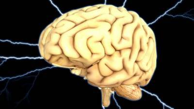 Исследовано влияние алкоголя на мозг человека - nation-news.ru