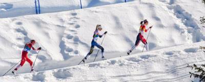 На ЧМ по лыжным видам спорта в Оберстдорфе не пустят болельщиков - runews24.ru - Германия