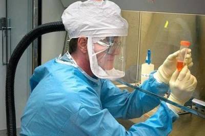 В Калифорнии ученые нашли новый штамм коронавируса - argumenti.ru - Сша - штат Калифорния