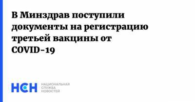 Михаил Мурашко - В Минздрав поступили документы на регистрацию третьей вакцины от COVID-19 - nsn.fm - Россия