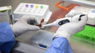 Новый штамм коронавируса обнаружен в Калифорнии - iz.ru - New York - Usa - Лос-Анджелес - штат Калифорния