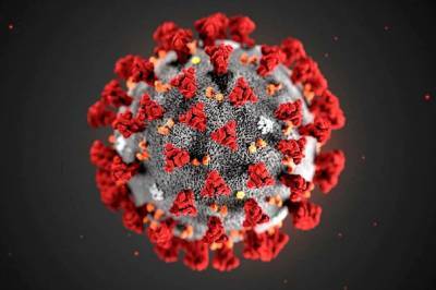 Учёные: Переболевшие коронавирусом могут повторно заразиться южноафриканским штаммом из-за мутации - actualnews.org - Юар