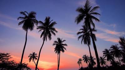 АТОР назвала главные правила посещения курортов Шри-Ланки - nation-news.ru - Шри Ланка