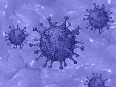 Ученые: «Антитела не гарантируют защиту от повторного заражения COVID-19» - abnews.ru - Санкт-Петербург