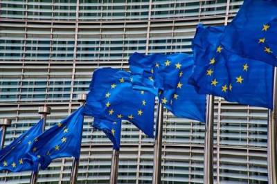 Совет Европы взялся за демократизацию Украины - argumenti.ru - Украина