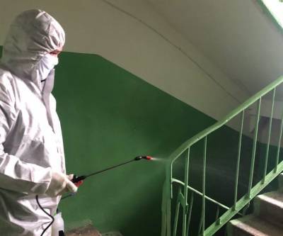 В Ульяновске за сутки продезинфицировали 706 домов - ulpravda.ru - Ульяновск