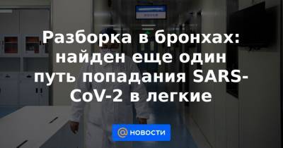 Разборка в бронхах: найден еще один путь попадания SARS-CoV-2 в легкие - news.mail.ru - Китай