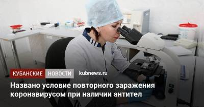 Названо условие повторного заражения коронавирусом при наличии антител - kubnews.ru