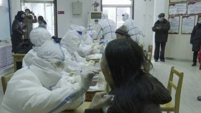 В Пекине обнаружили «британский» штамм коронавируса - 1tv.ru - Китай - Пекин