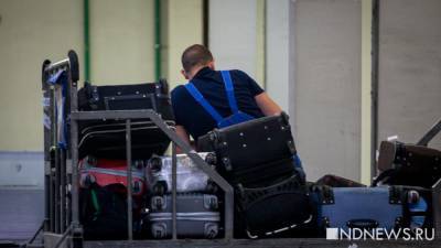 В России хотят уменьшить размеры провозимого в самолете багажа - newdaynews.ru - Россия