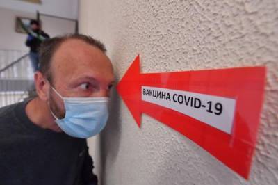 Роскачество предупредило о мошенниках, предлагающих купить вакцины от коронавируса в Интернете - argumenti.ru - Россия