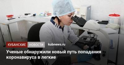 Ученые обнаружили новый путь попадания коронавируса в легкие - kubnews.ru - Китай