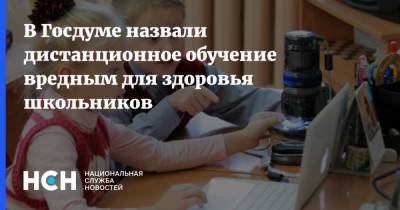 Олег Смолин - В Госдуме назвали дистанционное обучение вредным для здоровья школьников - nsn.fm - Россия