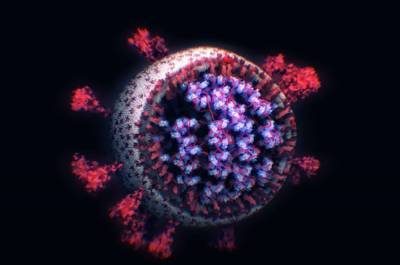 Видео дня: Как выглядит коронавирус под микроскопом - news.bigmir.net - Китай - Пекин
