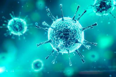 Ученые сделали первое 3D-изображение коронавирус SARS-CoV-2. Видео - zik.ua - Пекин