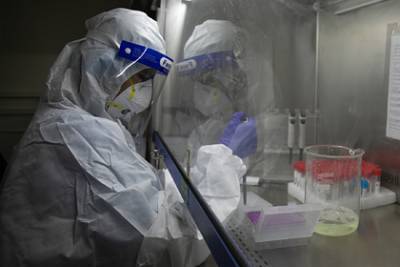 Ученые сообщили об опасности новых мутаций в коронавирусе - lenta.ru - Англия - Нью-Йорк - Бразилия - Юар