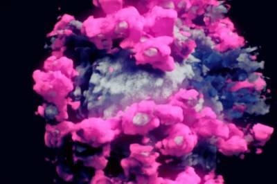 Ученые впервые показали 3D-кадры клетки коронавируса: фото и видео - newsone.ua - Украина - Пекин