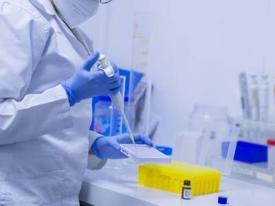Ученые выделили пять типов ковид-инфекции - rosbalt.ru