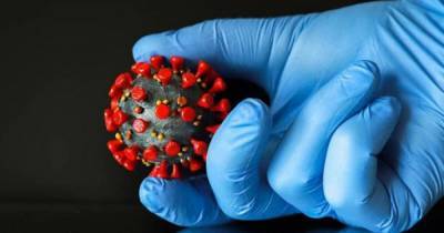 Ученые впервые сделали 3D снимок коронавируса (фото) - focus.ua - Австрия - Пекин