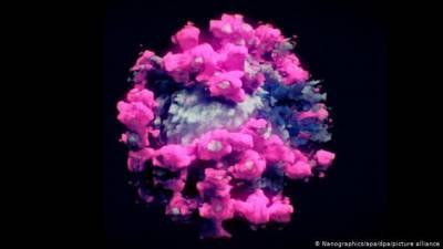 Ученые впервые сделали трехмерное фото вируса SARS-CoV-2 - mir24.tv - Пекин