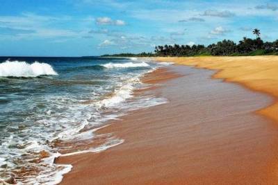 После почти годового локдауна Шри-Ланка открыла границы для туристов - versia.ru - Франция - Шри Ланка