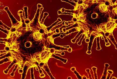 Разработан прибор для измерения заразности штаммов коронавируса - online47.ru - Колумбия