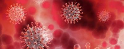 Еще 300 человек заболели коронавирусом в Вологодской области - runews24.ru - Вологодская обл.