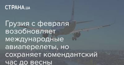 Натия Турнава - Грузия с февраля возобновляет международные авиаперелеты, но сохраняет комендантский час до весны - strana.ua - Грузия