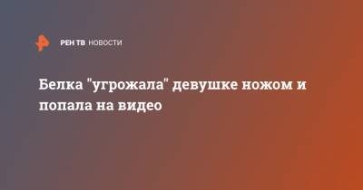 Белка "угрожала" девушке ножом и попала на видео - ren.tv - Канада