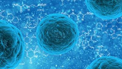 Биологи из США рассказали, что вирус герпеса способен уничтожать нервные клетки человека - actualnews.org - Сша