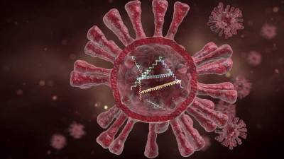 Вирусологи рассказывают о новых мутациях коронавируса и объясняют, откуда они берутся - 1tv.ru - Россия