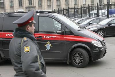 СК возбудил дело о вовлечении детей в незаконные митинги 23 января - tvc.ru - Россия