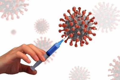 Как сделать прививку от коронавируса, рассказали в Минздраве ДНР - mk.ru - Днр